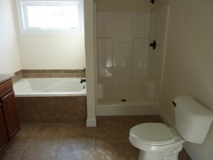 Master Bath Shower