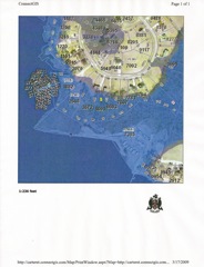 133 Deepwater Floodmap