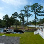 View of the Back Yard