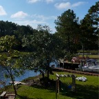 Another Backyard View