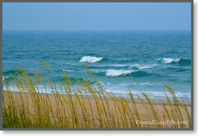 thirdstreetbeach