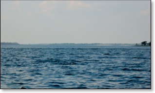whiteoakfishing