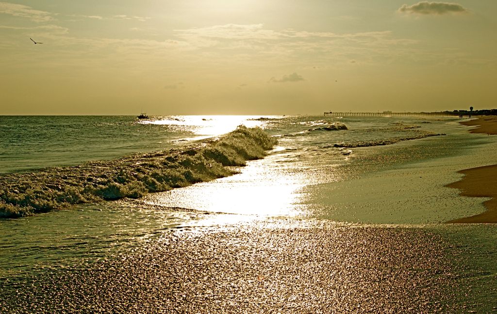 Great Sunny Wave.JPG