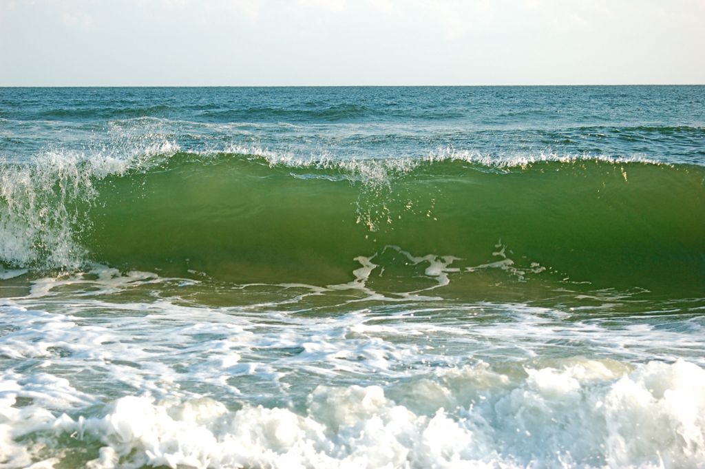 Lovely Wave.JPG