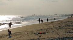 Beachwalking.JPG