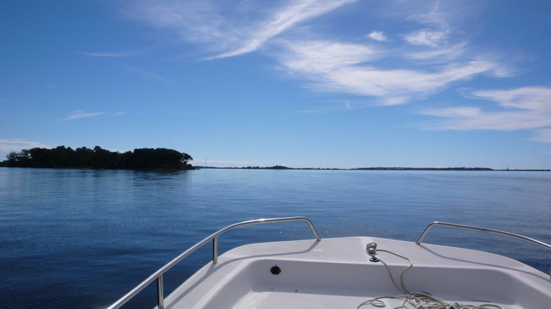 Coming around the island