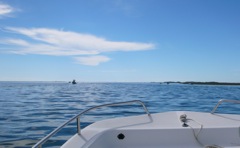 Out the Inlet