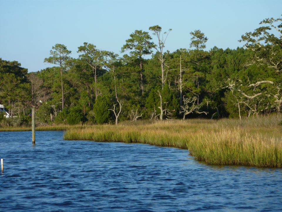 Bluewater Cove marshes