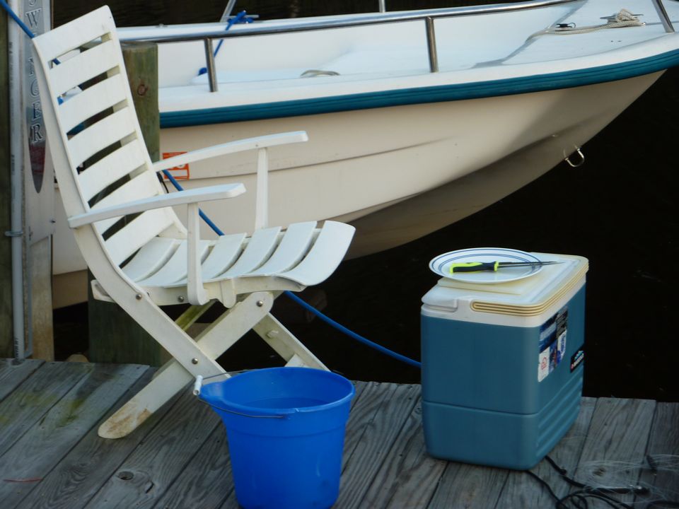 Fish Cleaning Station
