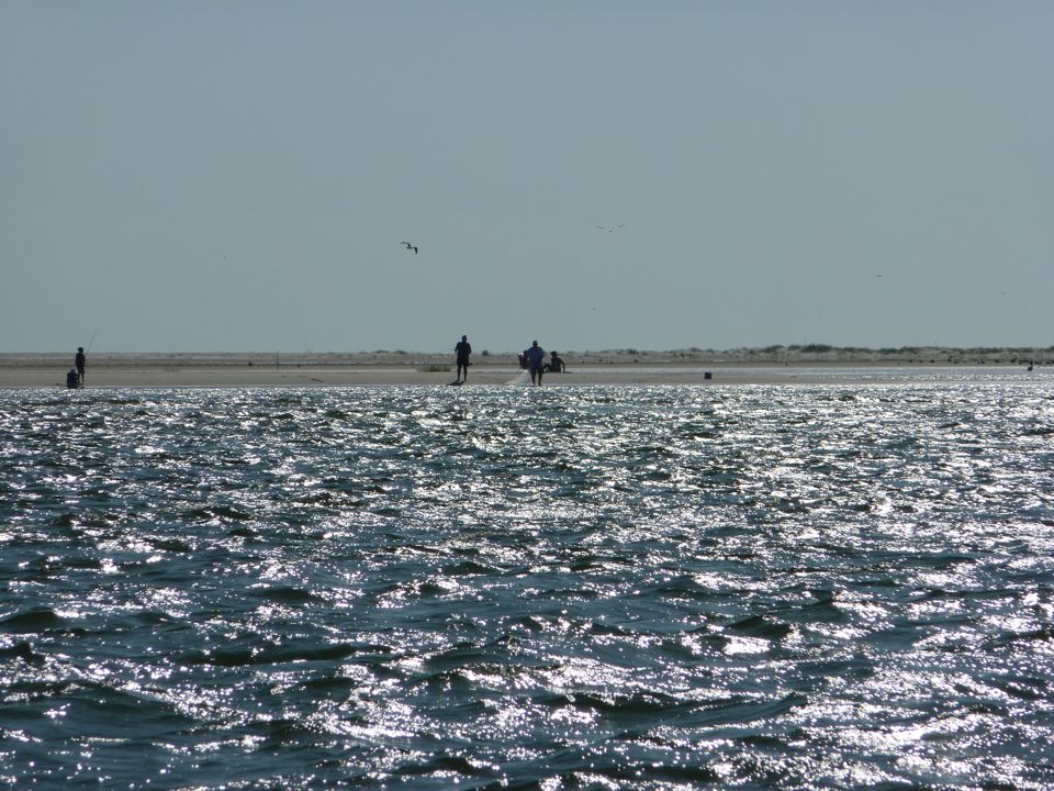 Fishing in the surf