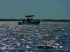 Bright Day on the Inlet