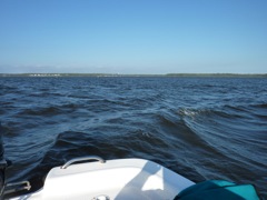 White Oak Waves