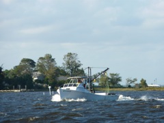 White Oak Shrimp Boat