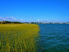 Cedar Point from BI Marshes