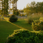 DSC_0020.JPG