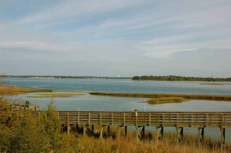 DSC_0151.JPG