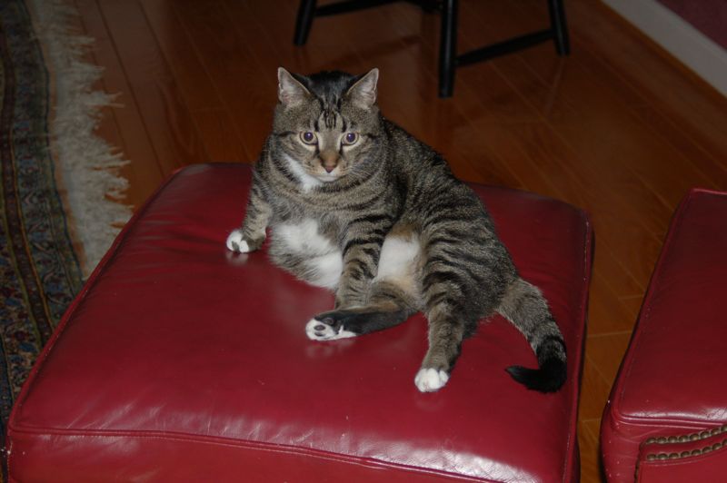 DSC_0163.JPG