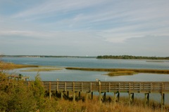 DSC_0151.JPG