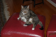 DSC_0163.JPG