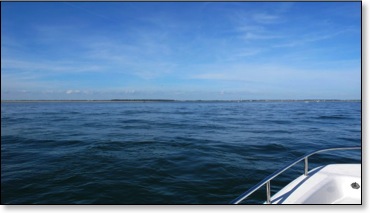 alreadymissingtheocean