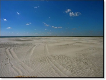 beachtothehorizon