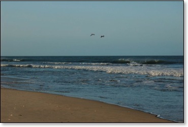 crusingthebeaches