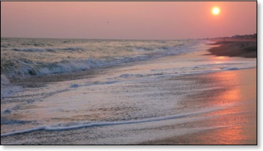 enjoyingthesouthandourbeaches