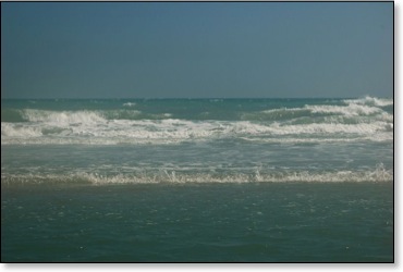 kneedeepinsaltwater