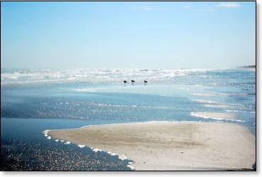 thecrystalcoastmorethana vacation