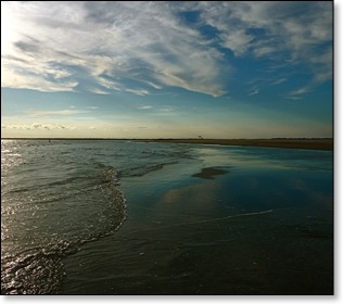 timetorespecttheocean
