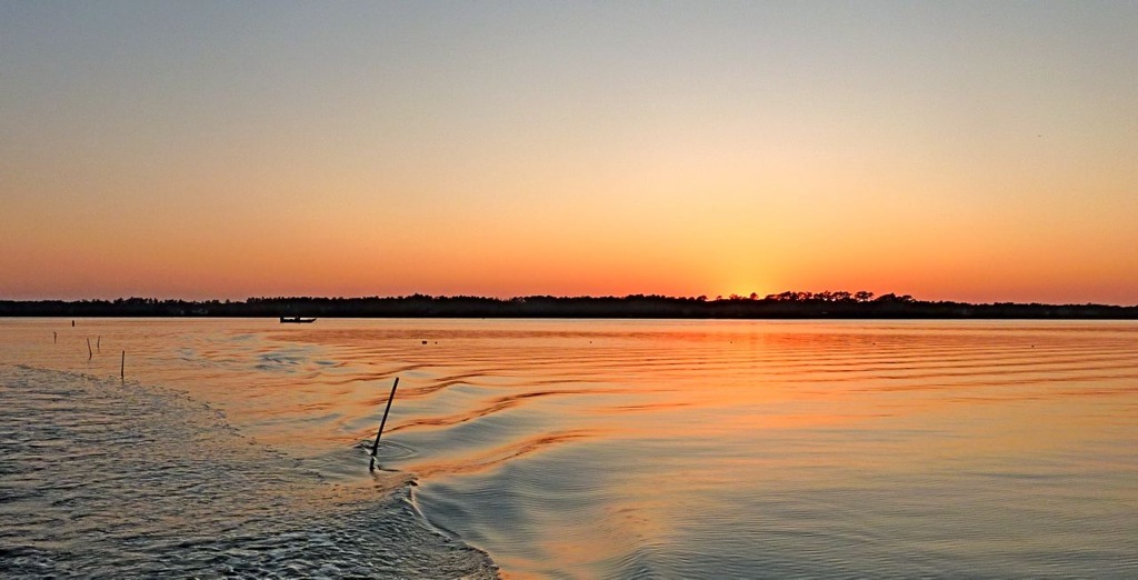 lonefisherman