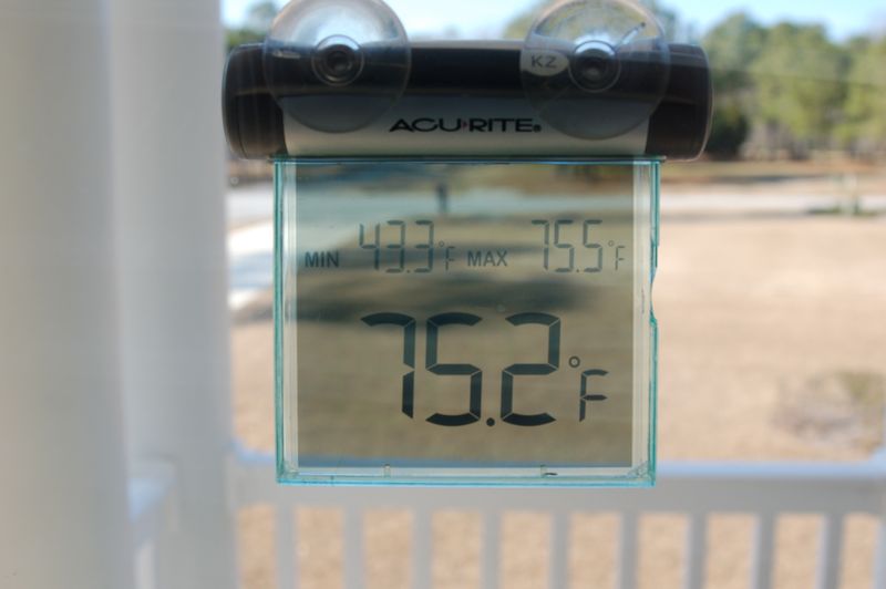 February 8 High Temperature