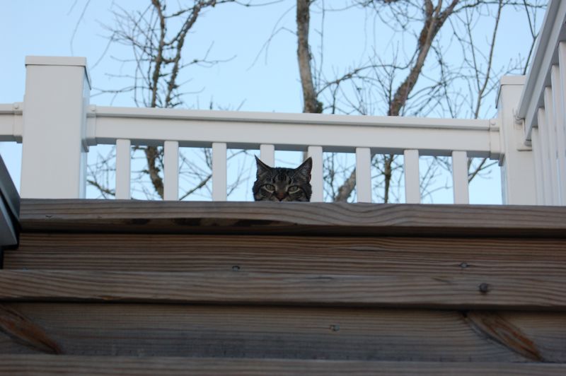 Enjoying the warmth