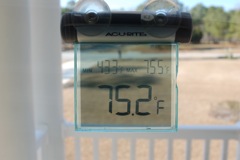 February 8 High Temperature