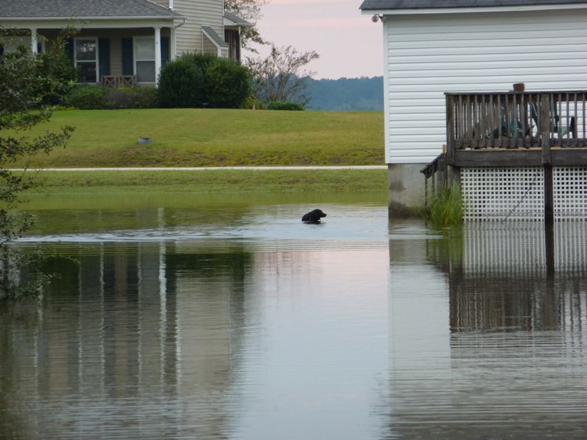 anothermess