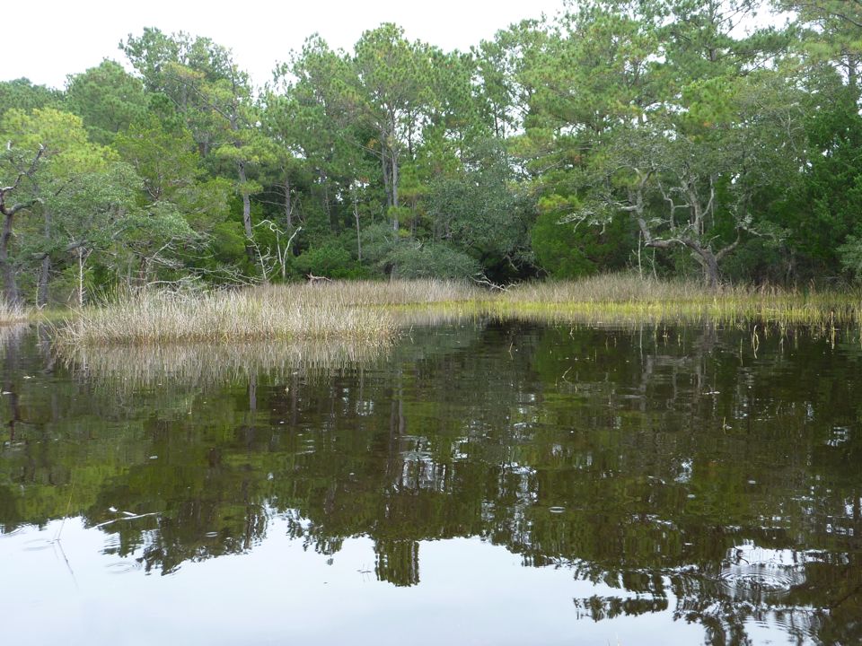 Inside the flooded marsh