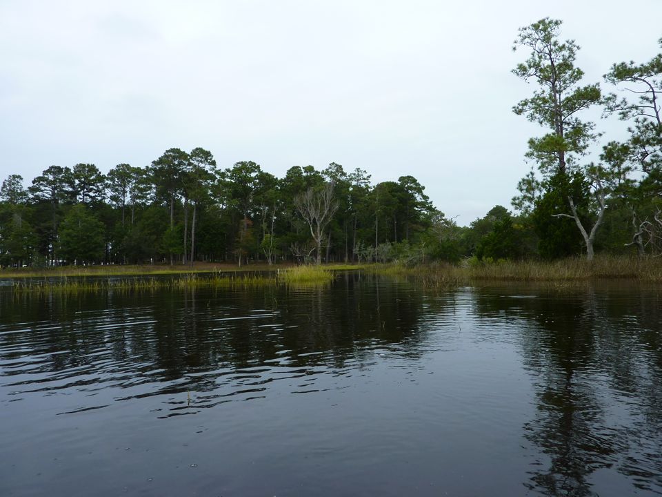 Looking out of flooded marsh