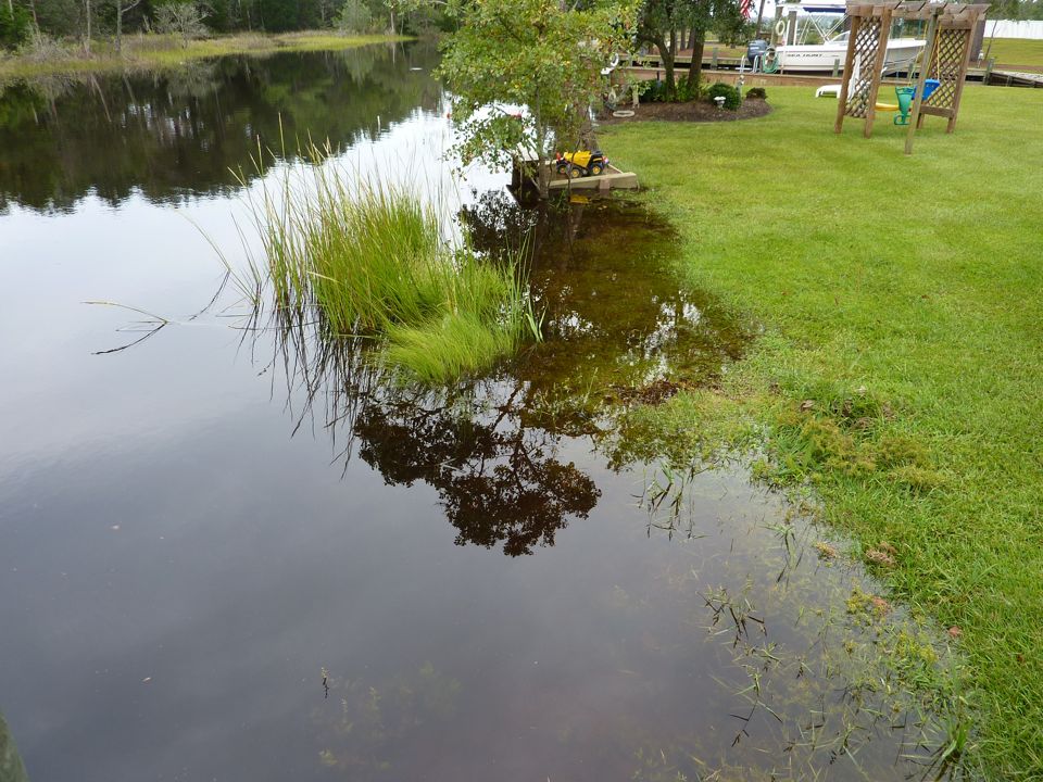 Grass Irrigation