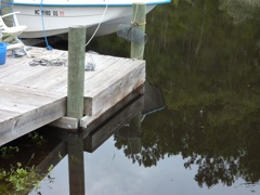 Up to the Dock Stringers