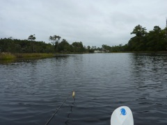 Looking back to Bluewater Cove Clubhouse