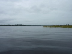 Looking North