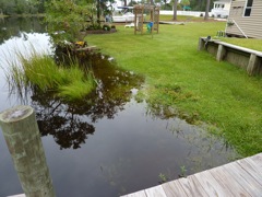 High Water on the Kayak Ramp