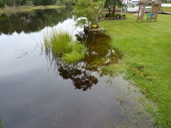 Grass Irrigation