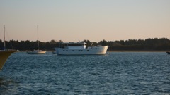 African Queen in Beaufort?