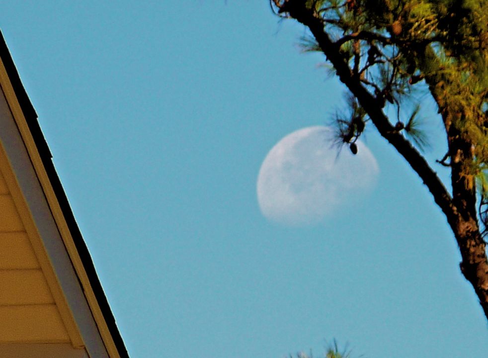 Morning Moon