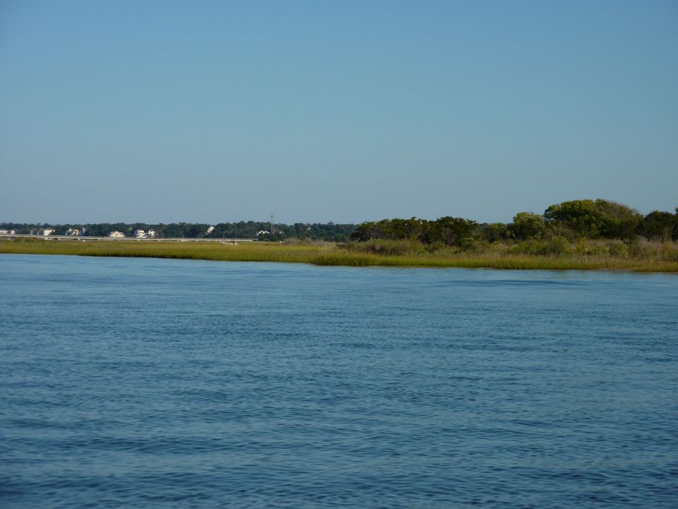 Marshes between Cedar Point & EI