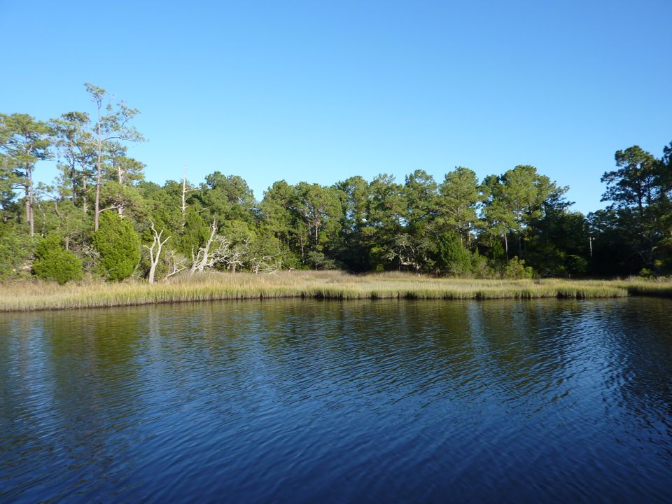 Marshes