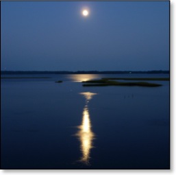 moononthewhiteoak