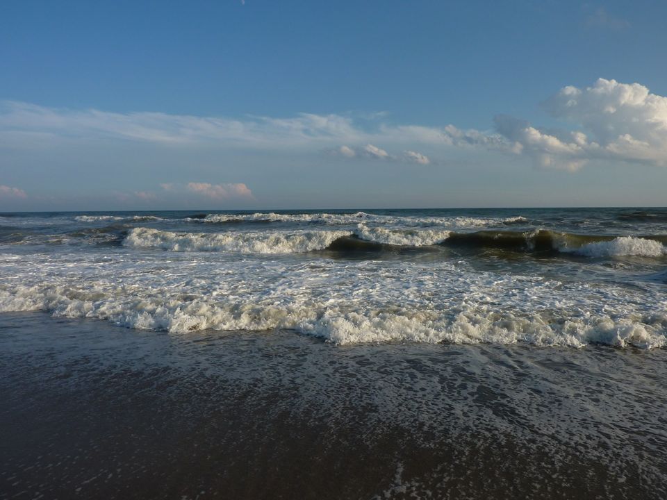 P1040129.JPG