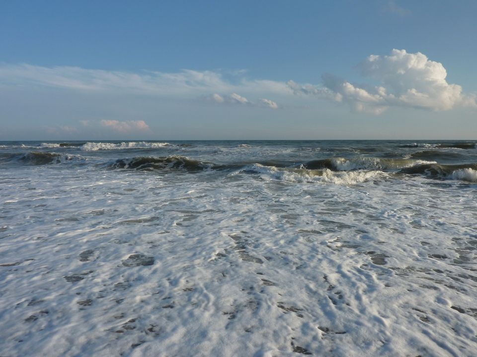 P1040130.JPG